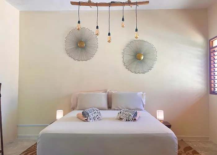 Shamalay - Nomad Experience